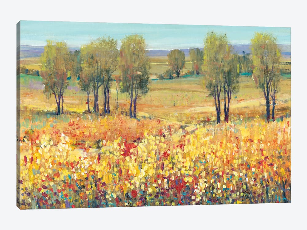 Golden Fields I by Tim OToole 1-piece Canvas Art Print