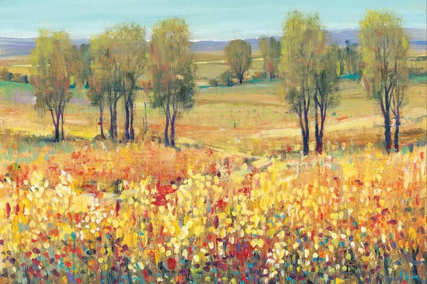 Gardens & Floral Landscapes: Golden Fields I by Tim O'Toole