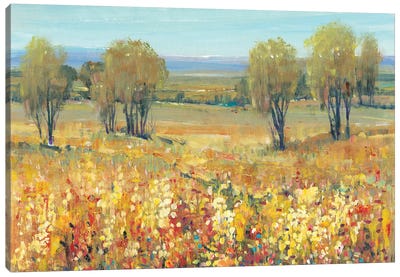 Golden Fields II Canvas Art Print - Tim O'Toole