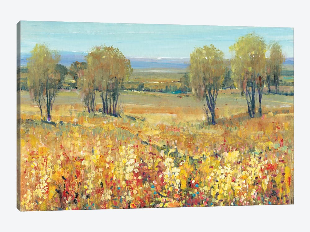 Golden Fields II by Tim OToole 1-piece Canvas Art