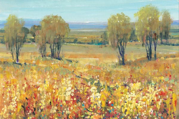 Countrysides: Golden Fields II by Tim O'Toole