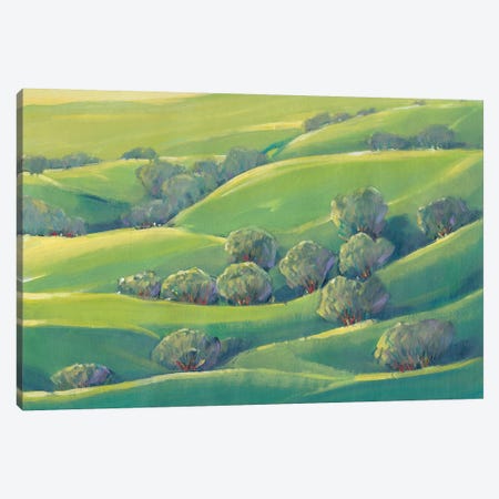 Hillside View I Canvas Print #TOT252} by Tim OToole Canvas Art