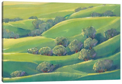 Hillside View I Canvas Art Print - Valley Art