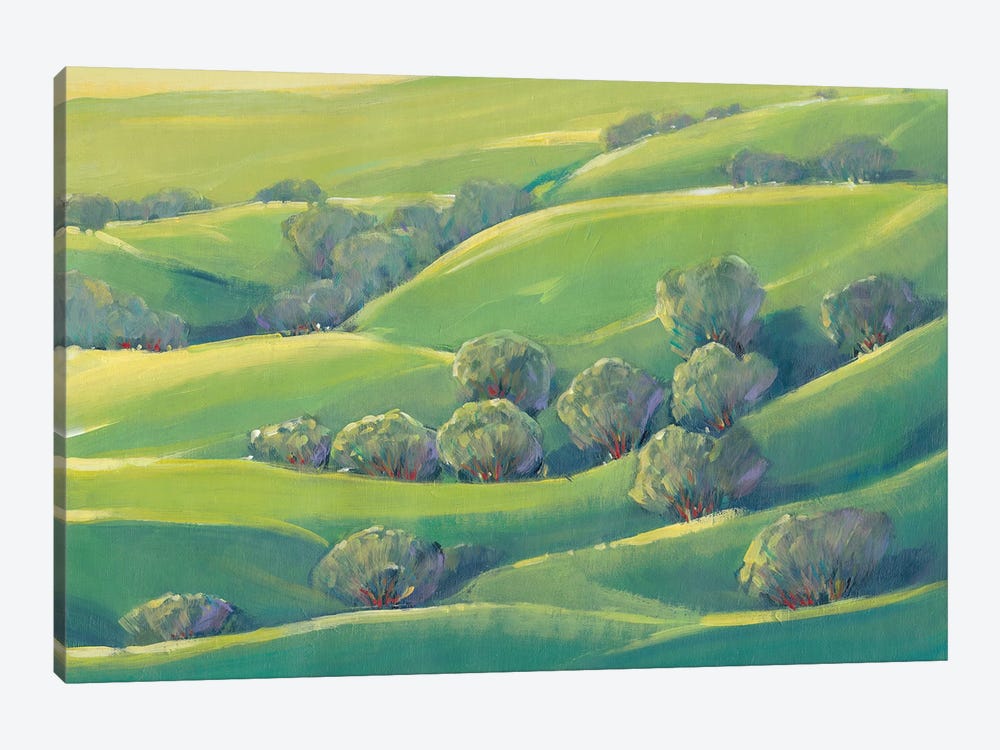 Hillside View I by Tim OToole 1-piece Art Print