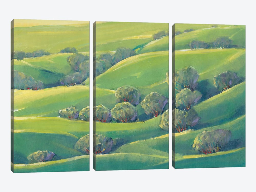 Hillside View I by Tim OToole 3-piece Art Print