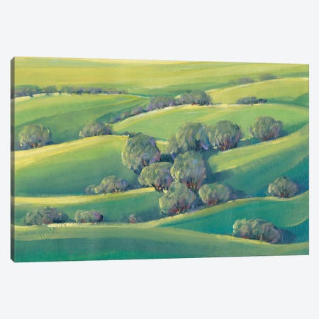 Hillside View II Canvas Print #TOT253} by Tim OToole Canvas Art