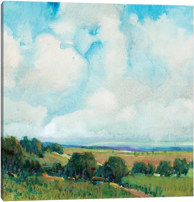 Looming Clouds I Canvas Art Print - Hill & Hillside Art