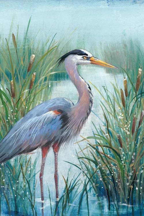 Marsh Heron I by Tim OToole wall art