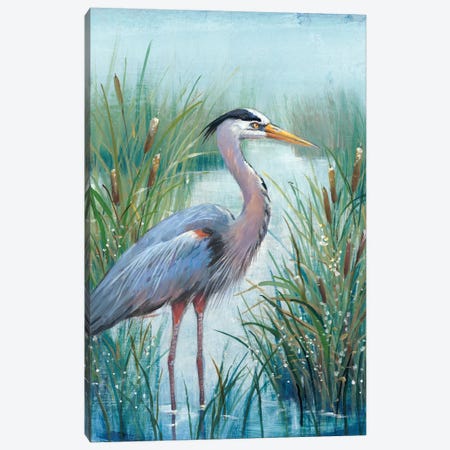 Marsh Heron I Canvas Print #TOT256} by Tim OToole Canvas Print