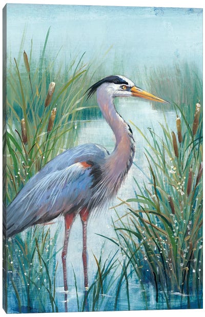 Marsh Heron I Canvas Art Print - Beach Décor