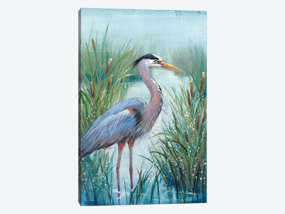 Marsh Heron I by Tim OToole 1-piece Canvas Print