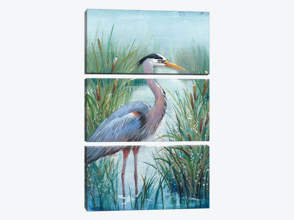 Marsh Heron I by Tim OToole 3-piece Canvas Art Print