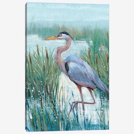 Marsh Heron II Canvas Print #TOT257} by Tim OToole Canvas Print
