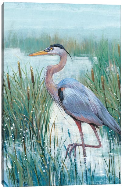 Marsh Heron II Canvas Art Print - Great Blue Heron Art