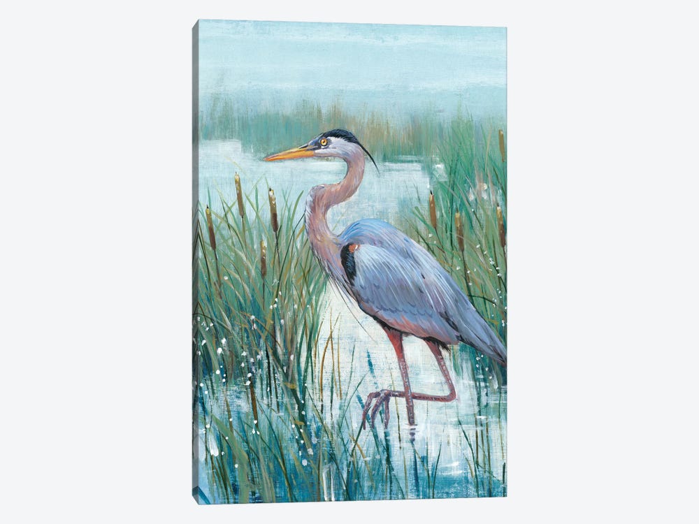 Marsh Heron II by Tim OToole 1-piece Canvas Wall Art