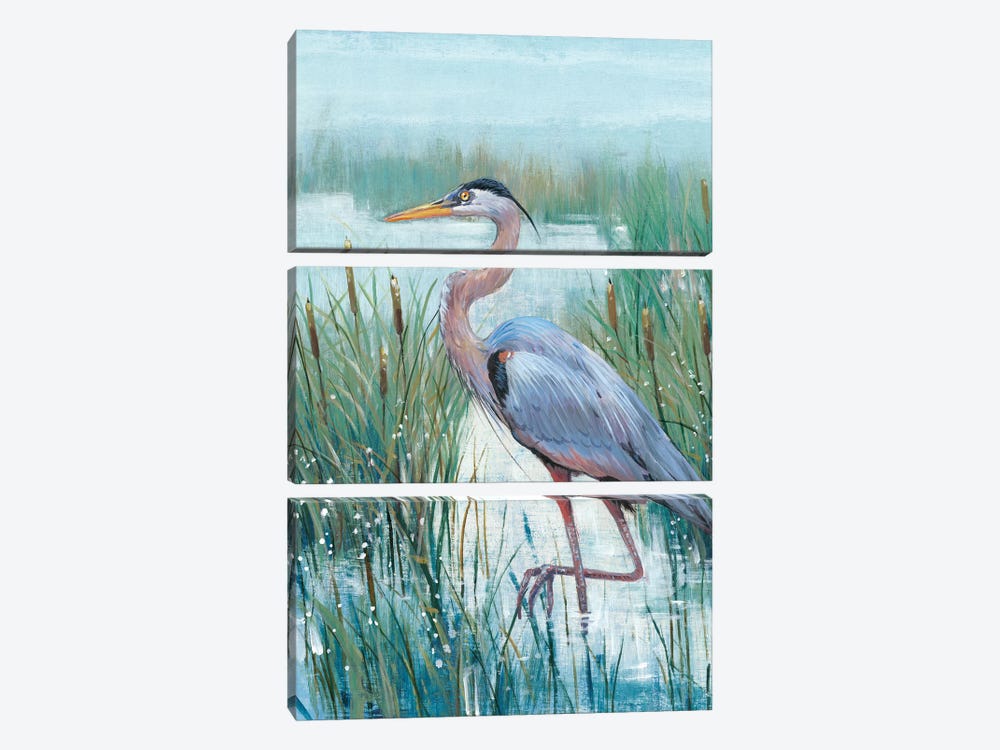 Marsh Heron II by Tim OToole 3-piece Canvas Wall Art