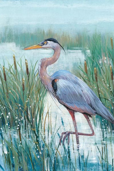 Wall Art: Marsh Heron II by Tim O'Toole