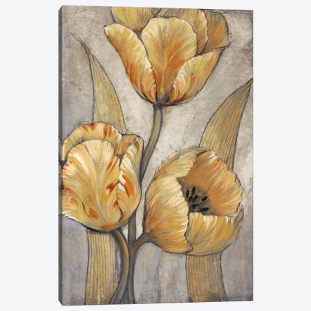 Ochre & Grey Tulips I Canvas Print #TOT258} by Tim OToole Canvas Art