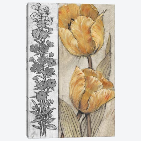 Ochre & Grey Tulips IV Canvas Print #TOT261} by Tim OToole Canvas Art Print