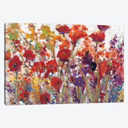 Variety Of Flowers I Canvas Print #TOT270} by Tim OToole Canvas Artwork