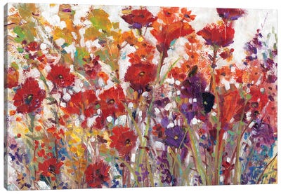 Variety Of Flowers I Canvas Art Print - Traditional Décor