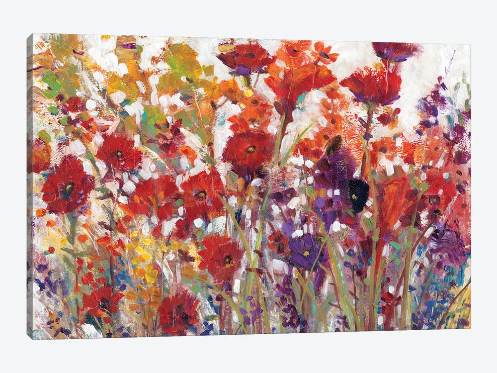 Variety Of Flowers I by Tim OToole 1-piece Canvas Print