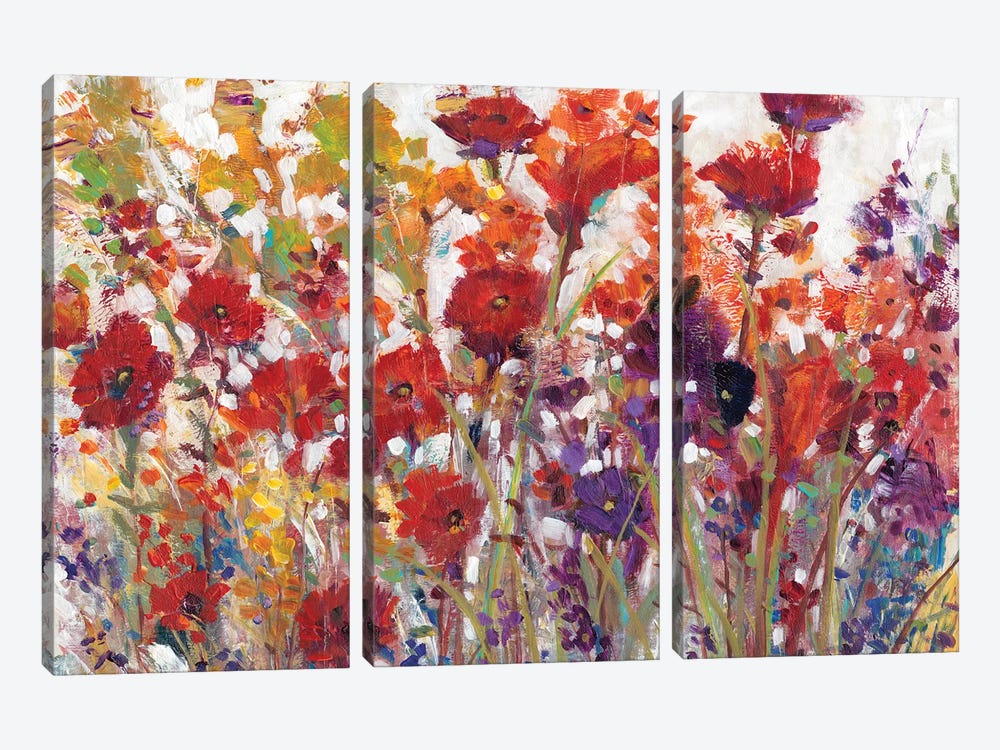 Variety Of Flowers I by Tim OToole 3-piece Canvas Art Print