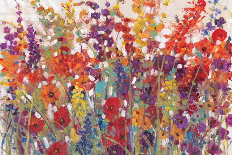 Variety Of Flowers II by Tim OToole wall art