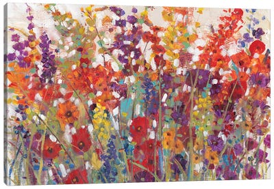 Variety Of Flowers II Canvas Art Print - Wildflowers