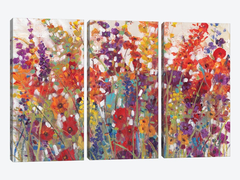 Variety Of Flowers II by Tim OToole 3-piece Canvas Art