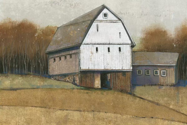 Barns: White Barn View II by Tim O'Toole