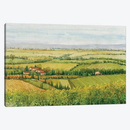 Wine Country View I Canvas Print #TOT277} by Tim OToole Canvas Print