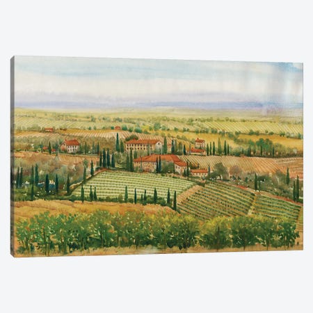 Wine Country View II Canvas Print #TOT278} by Tim OToole Canvas Artwork
