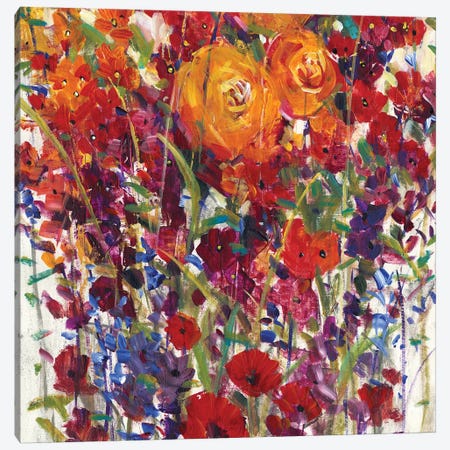 Mixed Bouquet III Canvas Print #TOT284} by Tim OToole Canvas Wall Art