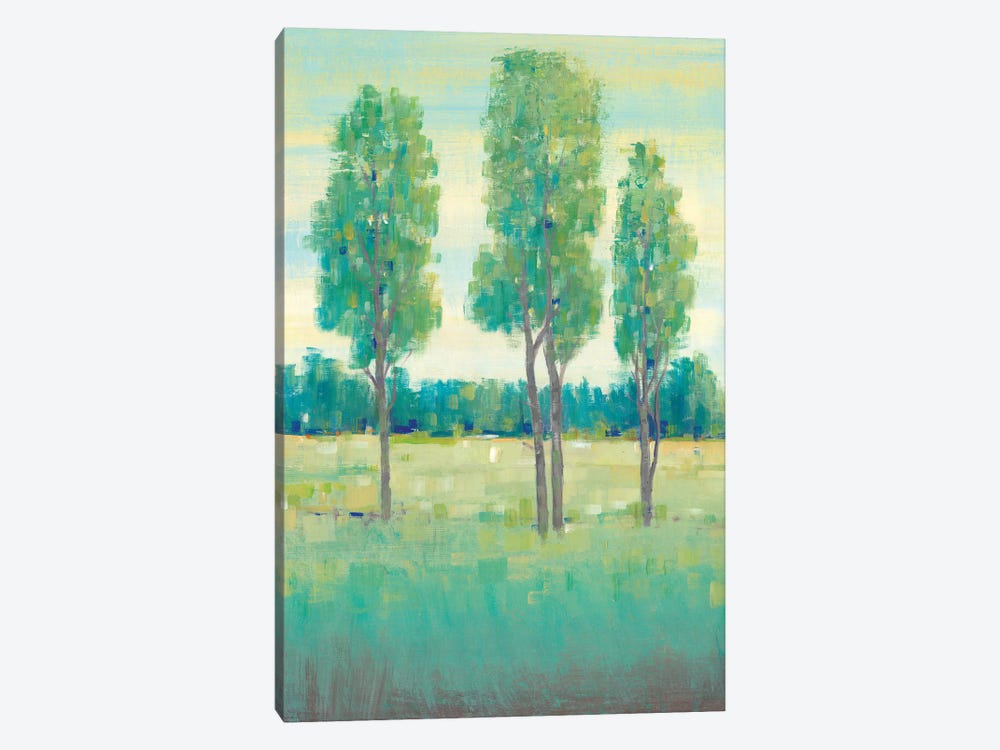 Spring Day I by Tim OToole 1-piece Canvas Art Print