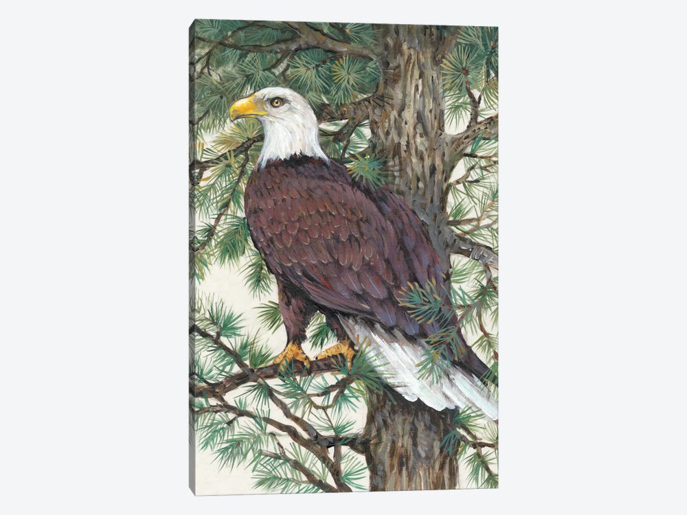 Eagle In The Pine by Tim OToole 1-piece Canvas Art