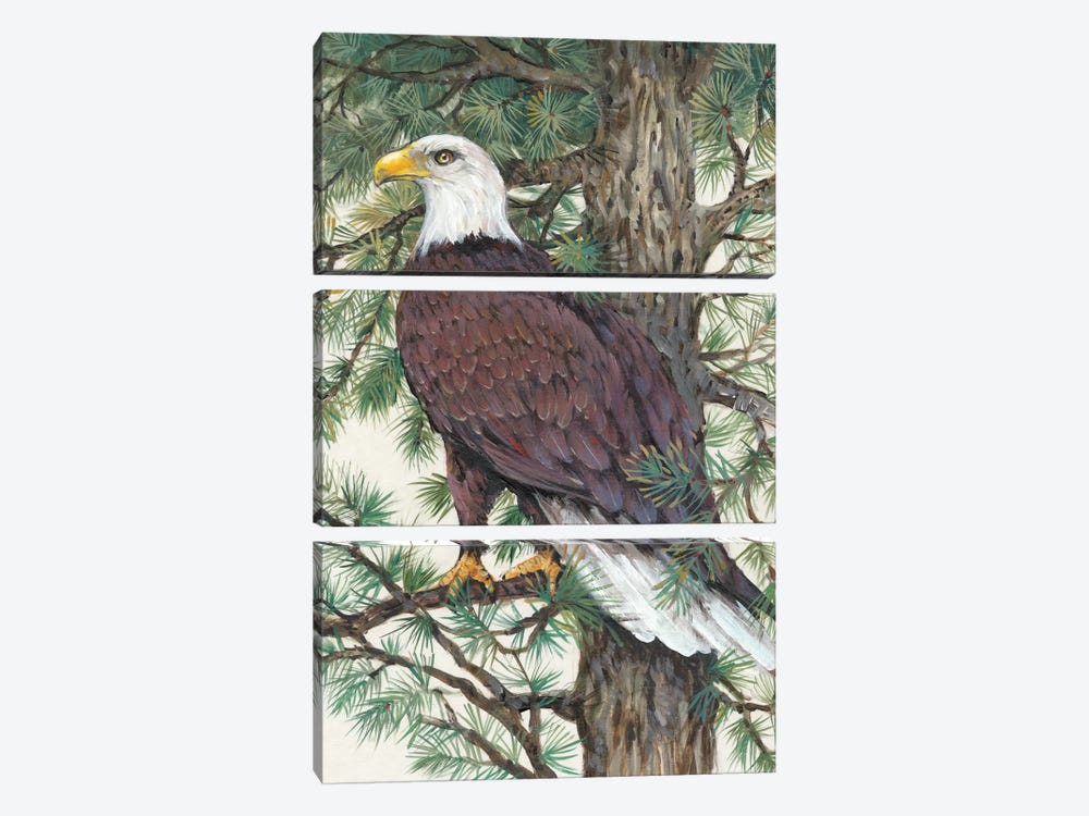 Eagle In The Pine 3-piece Canvas Wall Art