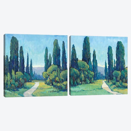 Cypress Path Diptych Canvas Print Set #TOT2HSET004} by Tim OToole Canvas Art Print