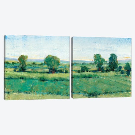 Spring Meadow Diptych Canvas Print Set #TOT2HSET010} by Tim OToole Art Print