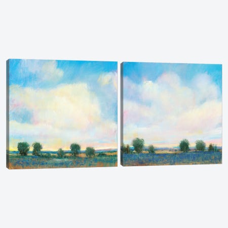 Summer Sky Diptych Canvas Print Set #TOT2HSET013} by Tim OToole Canvas Art Print