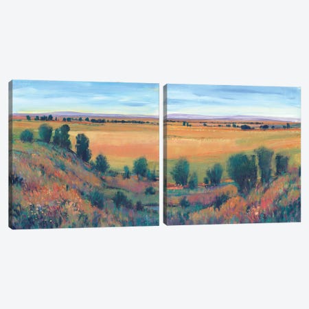 Hilltop View Diptych Canvas Print Set #TOT2HSET015} by Tim OToole Canvas Art