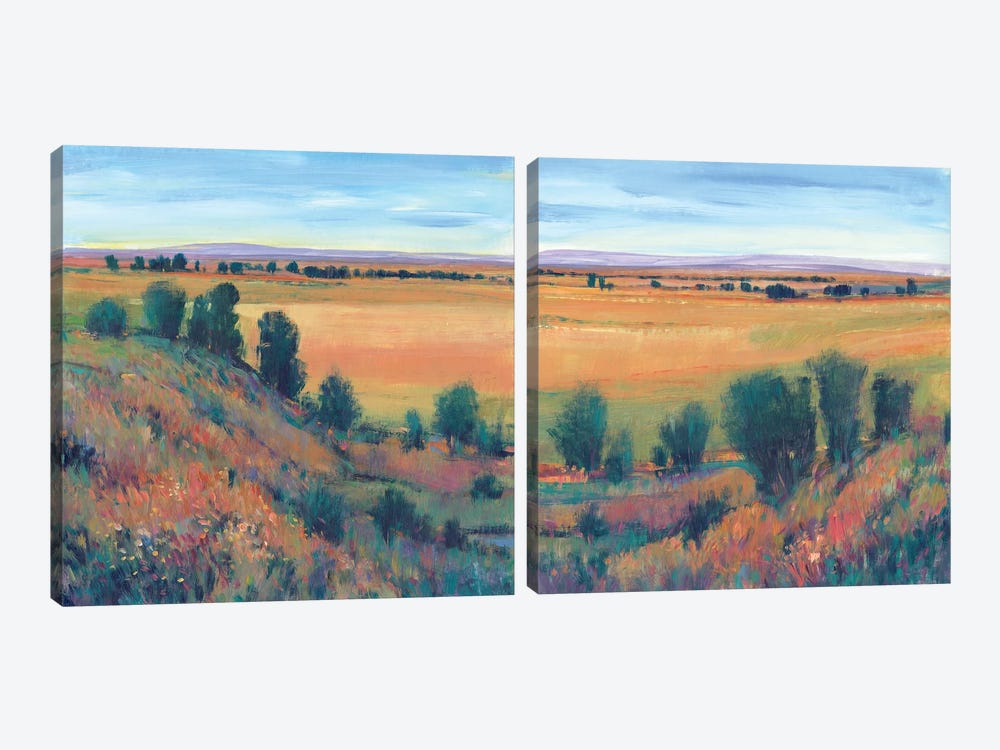 Hilltop View Diptych by Tim OToole 2-piece Canvas Wall Art