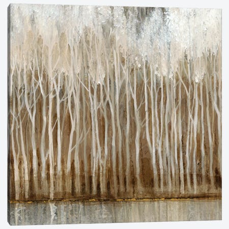 Whispering Trees II Canvas Print #TOT301} by Tim OToole Canvas Artwork