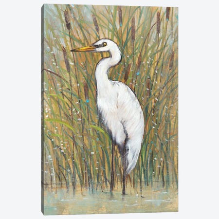 White Egret I Canvas Print #TOT302} by Tim OToole Canvas Art