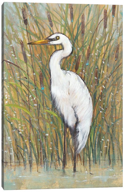 White Egret I Canvas Art Print - Egret Art