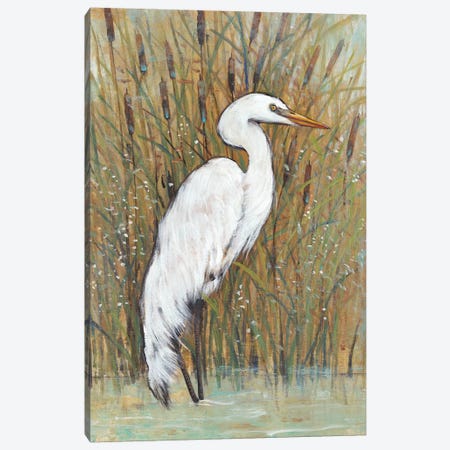 White Egret II Canvas Print #TOT303} by Tim OToole Canvas Wall Art