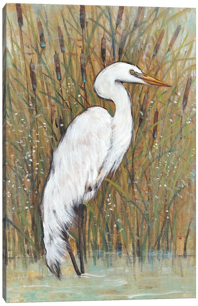 White Egret II Canvas Art Print - Egret Art