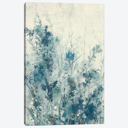 Blue Spring I Canvas Print #TOT312} by Tim OToole Art Print