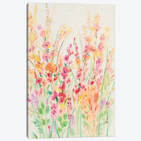 Brilliant Floral I Canvas Print #TOT314} by Tim OToole Canvas Wall Art