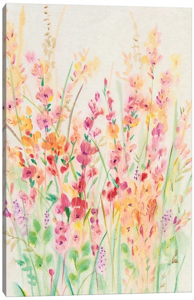 Brilliant Floral I Canvas Art Print - Tim O'Toole
